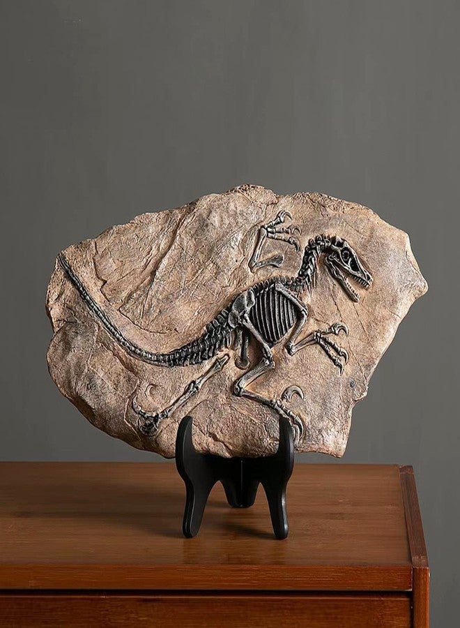 FUNSXBUG Resin Velociraptor Dinosaur Skeleton Fossil Statue Figurines Sculpture Collectibles Home Office Desktop Display Decoration (Dinosaur 1) - Image 5